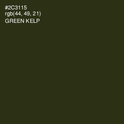 #2C3115 - Green Kelp Color Image